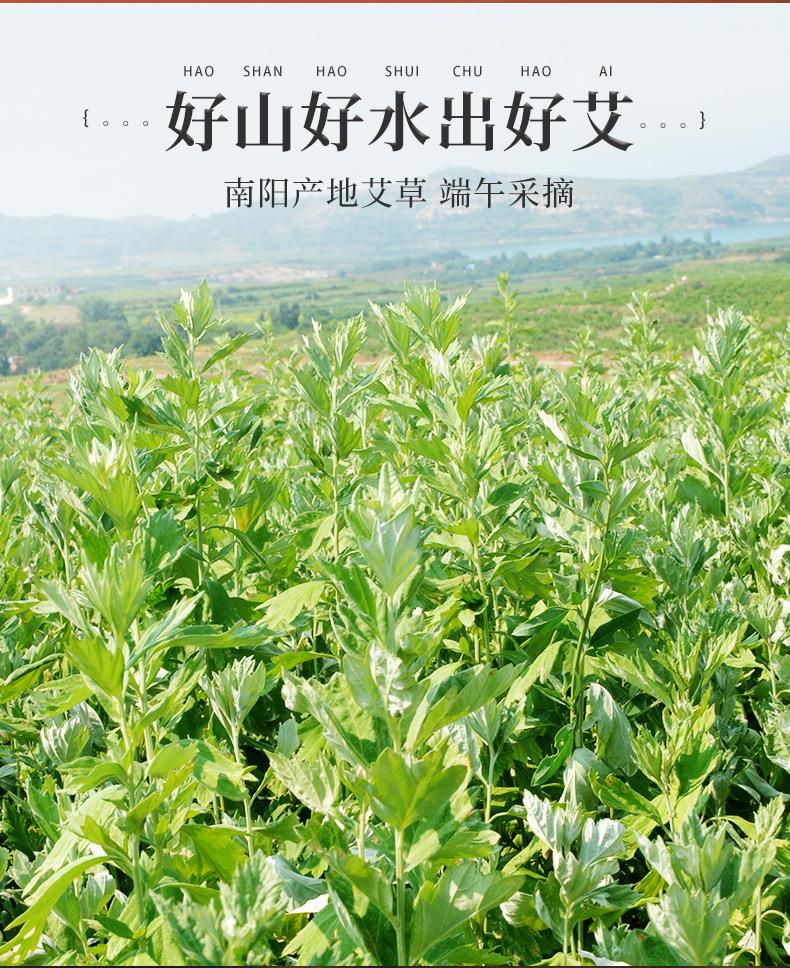 妙艾堂7cm粗艾條 加粗大號(hào)艾灸館大艾條大炮灸 艾灸條南陽(yáng)廠(chǎng)家
